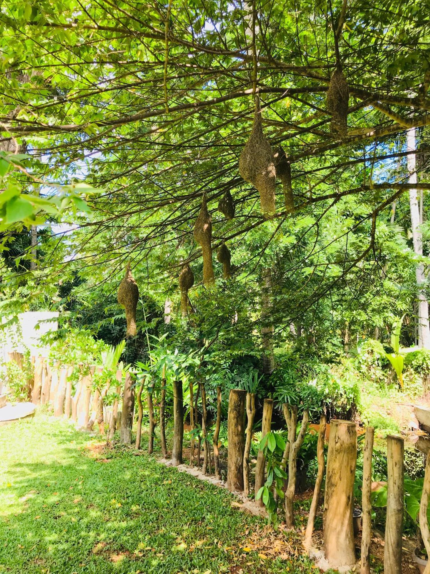 Ruwinsons Canal Garden Anuradhapura Exterior foto